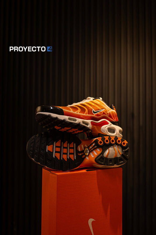 Nike Air Max Tn Og 'Light Photography'