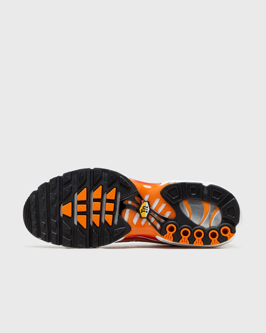 Nike Air Max Tn Og 'Light Photography'